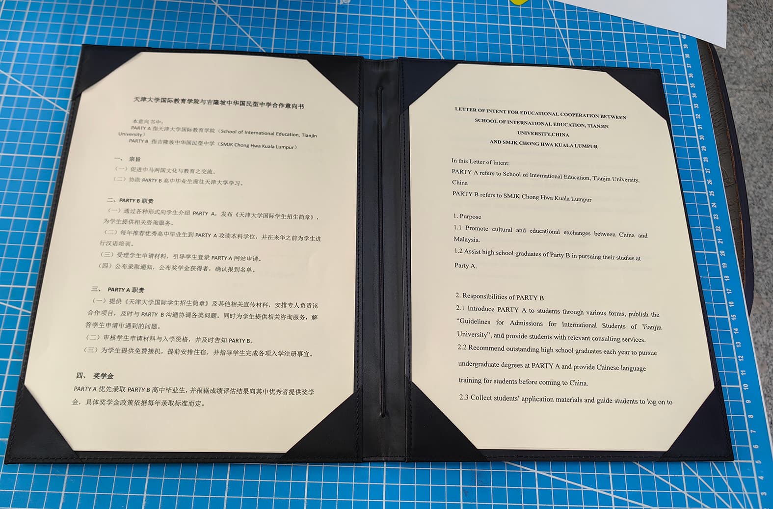 蓝金水晶贴 案例图片 6
