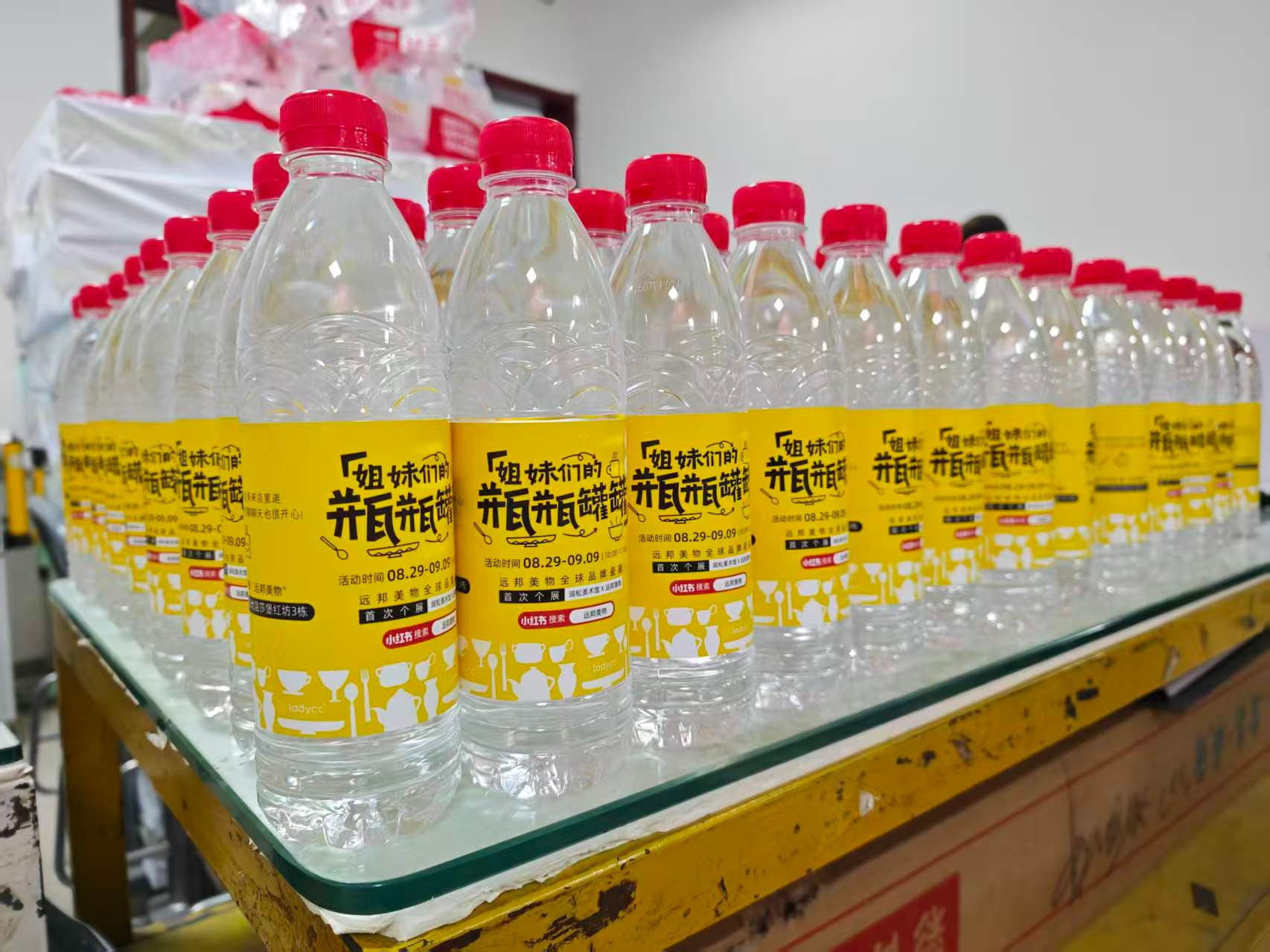 矿泉水瓶变装 案例图片 3